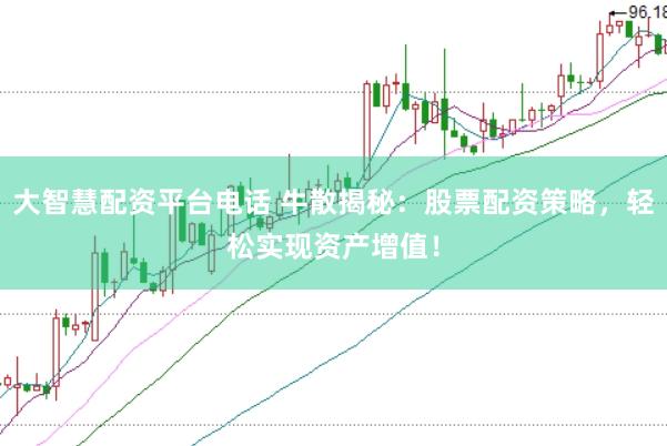 大智慧配资平台电话 牛散揭秘：股票配资策略，轻松实现资产增值！