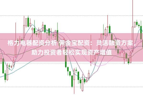 格力电器配资分析 佣金宝配资：灵活融资方案，助力投资者轻松实现资产增值