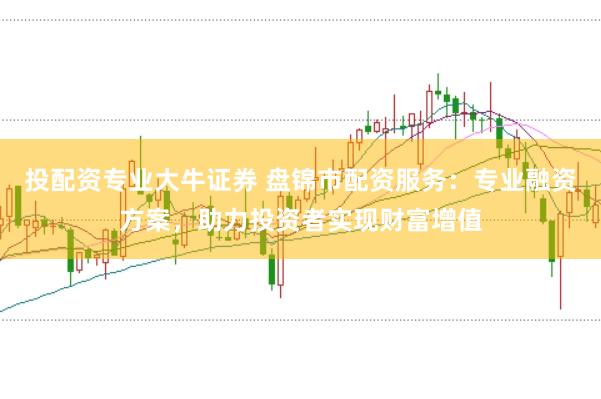 投配资专业大牛证券 盘锦市配资服务：专业融资方案，助力投资者实现财富增值