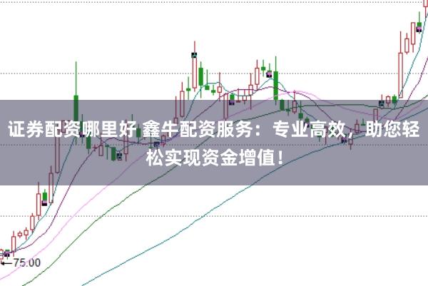 证券配资哪里好 鑫牛配资服务：专业高效，助您轻松实现资金增值！