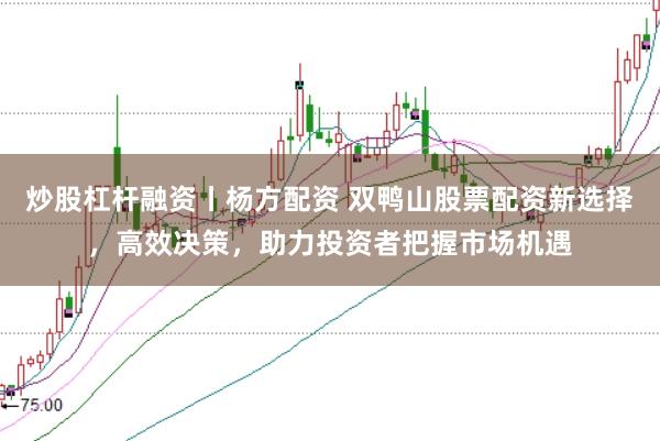炒股杠杆融资丨杨方配资 双鸭山股票配资新选择，高效决策，助力投资者把握市场机遇