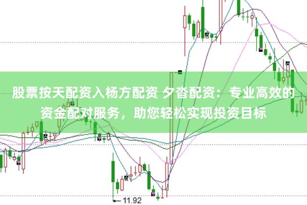股票按天配资入杨方配资 夕沓配资：专业高效的资金配对服务，助您轻松实现投资目标