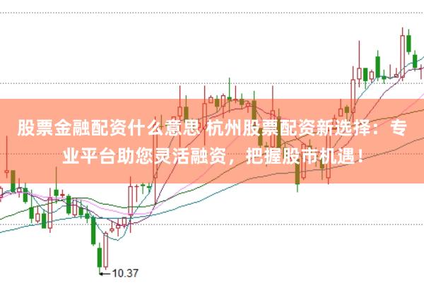 股票金融配资什么意思 杭州股票配资新选择：专业平台助您灵活融资，把握股市机遇！