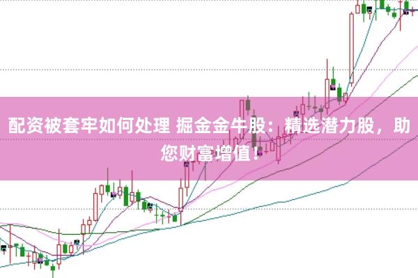 配资被套牢如何处理 掘金金牛股：精选潜力股，助您财富增值！