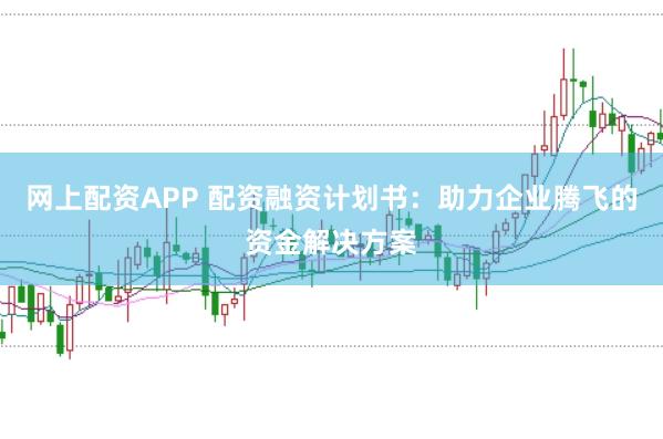 网上配资APP 配资融资计划书：助力企业腾飞的资金解决方案