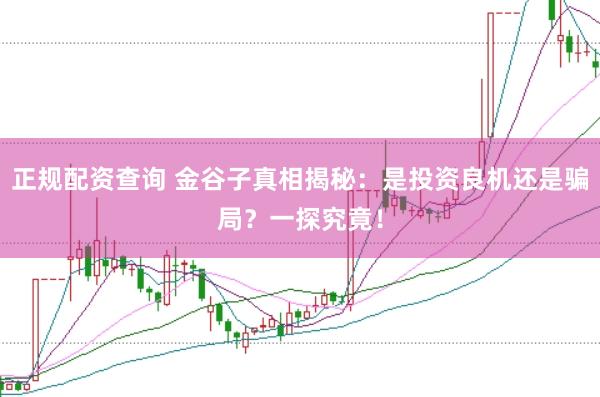 正规配资查询 金谷子真相揭秘：是投资良机还是骗局？一探究竟！