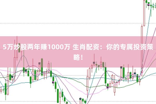 5万炒股两年赚1000万 生肖配资：你的专属投资策略！