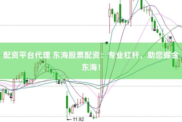 配资平台代理 东海股票配资：专业杠杆，助您掘金东海！