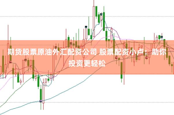 期货股票原油外汇配资公司 股票配资小卢：助你投资更轻松