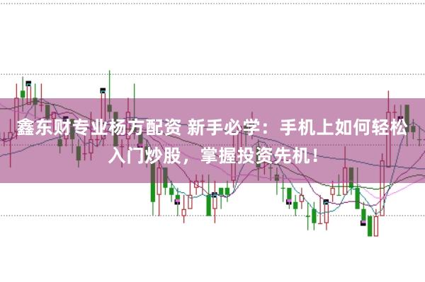 鑫东财专业杨方配资 新手必学：手机上如何轻松入门炒股，掌握投资先机！
