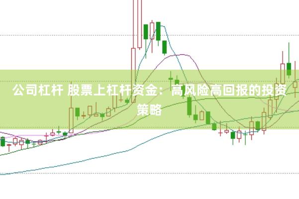 公司杠杆 股票上杠杆资金：高风险高回报的投资策略