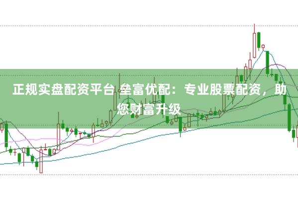 正规实盘配资平台 垒富优配：专业股票配资，助您财富升级