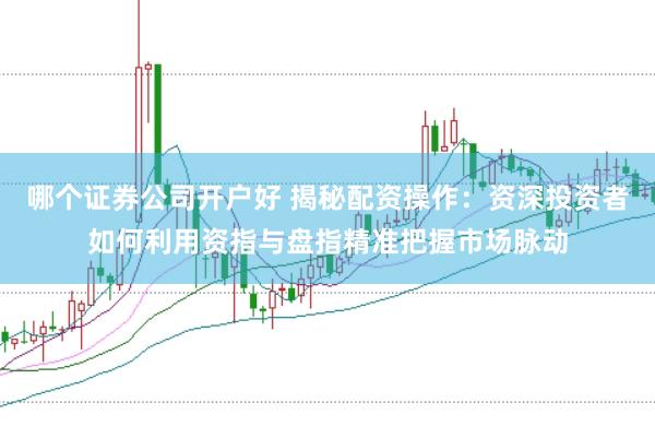 哪个证券公司开户好 揭秘配资操作：资深投资者如何利用资指与盘指精准把握市场脉动