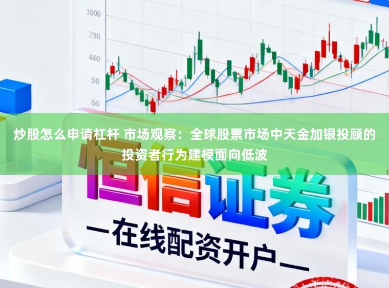 炒股怎么申请杠杆 市场观察：全球股票市场中天金加银投顾的投资者行为建模面向低波