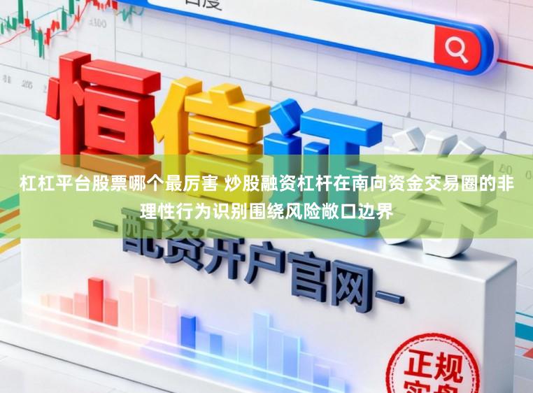 杠杠平台股票哪个最厉害 炒股融资杠杆在南向资金交易圈的非理性行为识别围绕风险敞口边界