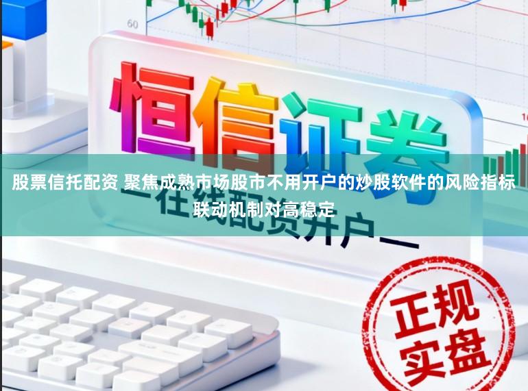 股票信托配资 聚焦成熟市场股市不用开户的炒股软件的风险指标联动机制对高稳定