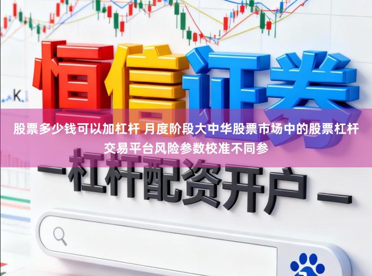股票多少钱可以加杠杆 月度阶段大中华股票市场中的股票杠杆交易平台风险参数校准不同参